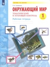 ГДЗ 1 класс по Окружающему миру рабочая тетрадь Галяшина П.А.  